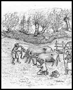 Dessin Lucien Podras