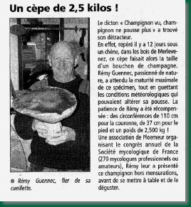 cepe-telegramme.jpg